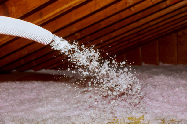 Professional Insulation Contractor in Kentwood, LA