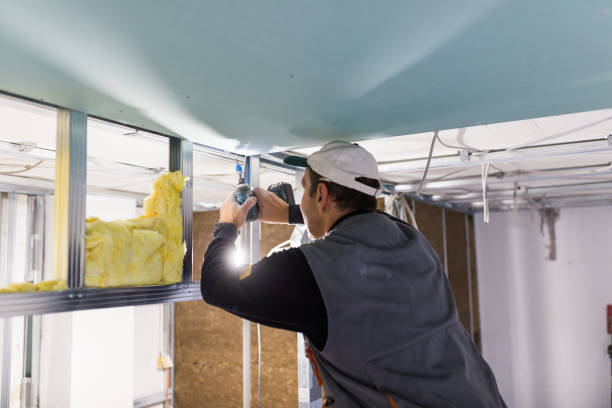 Best Eco-Friendly Insulation in Kentwood, LA